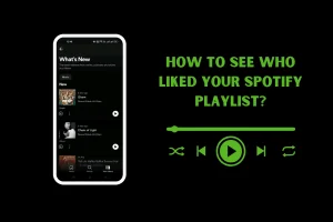 HOW TO SEE WHO LIKED YOUR SPOTIFY PLAYLIST